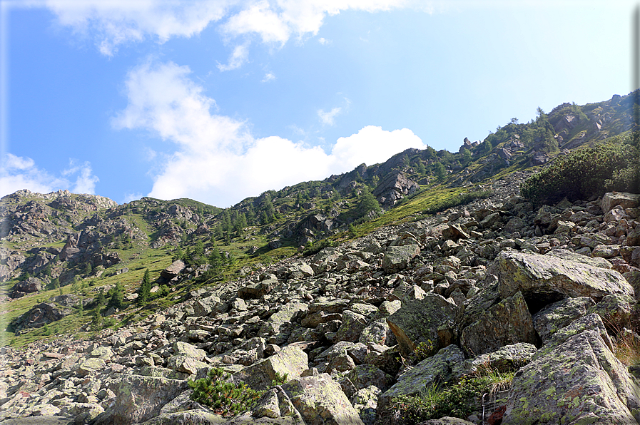 foto Forcella Magna